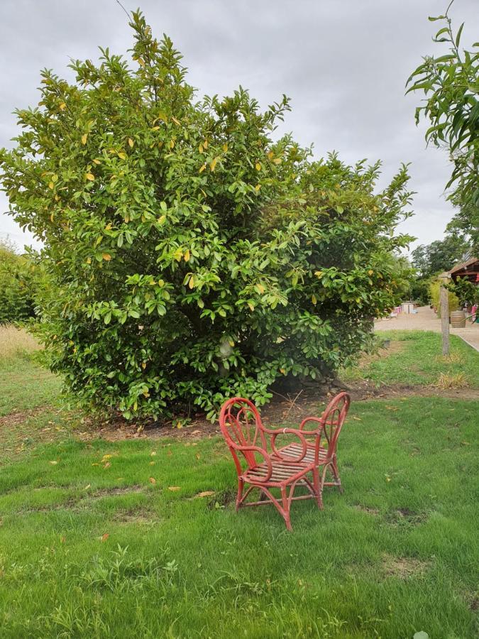 Gite De La Maison Du L.A.C Simard المظهر الخارجي الصورة